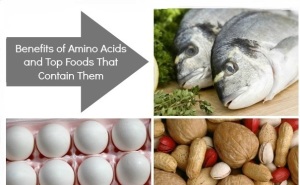 Benefits-of-Amino-Acids-and-Top-Foods-That-Contain-Them
