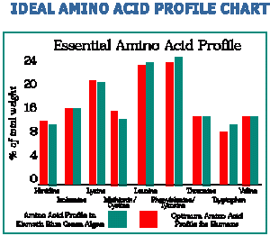 aminochart1
